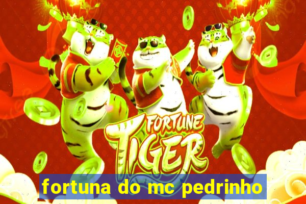 fortuna do mc pedrinho